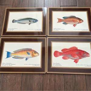 Vintage Fallani & Cohn Fish Illustrated Smithsonian Cork Backed Placemats set/4